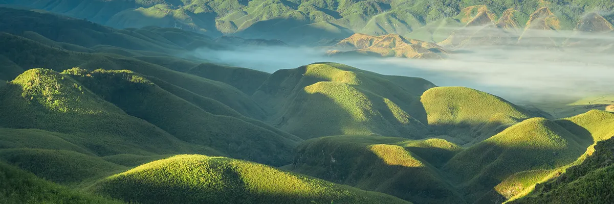 Blogs Cover Image